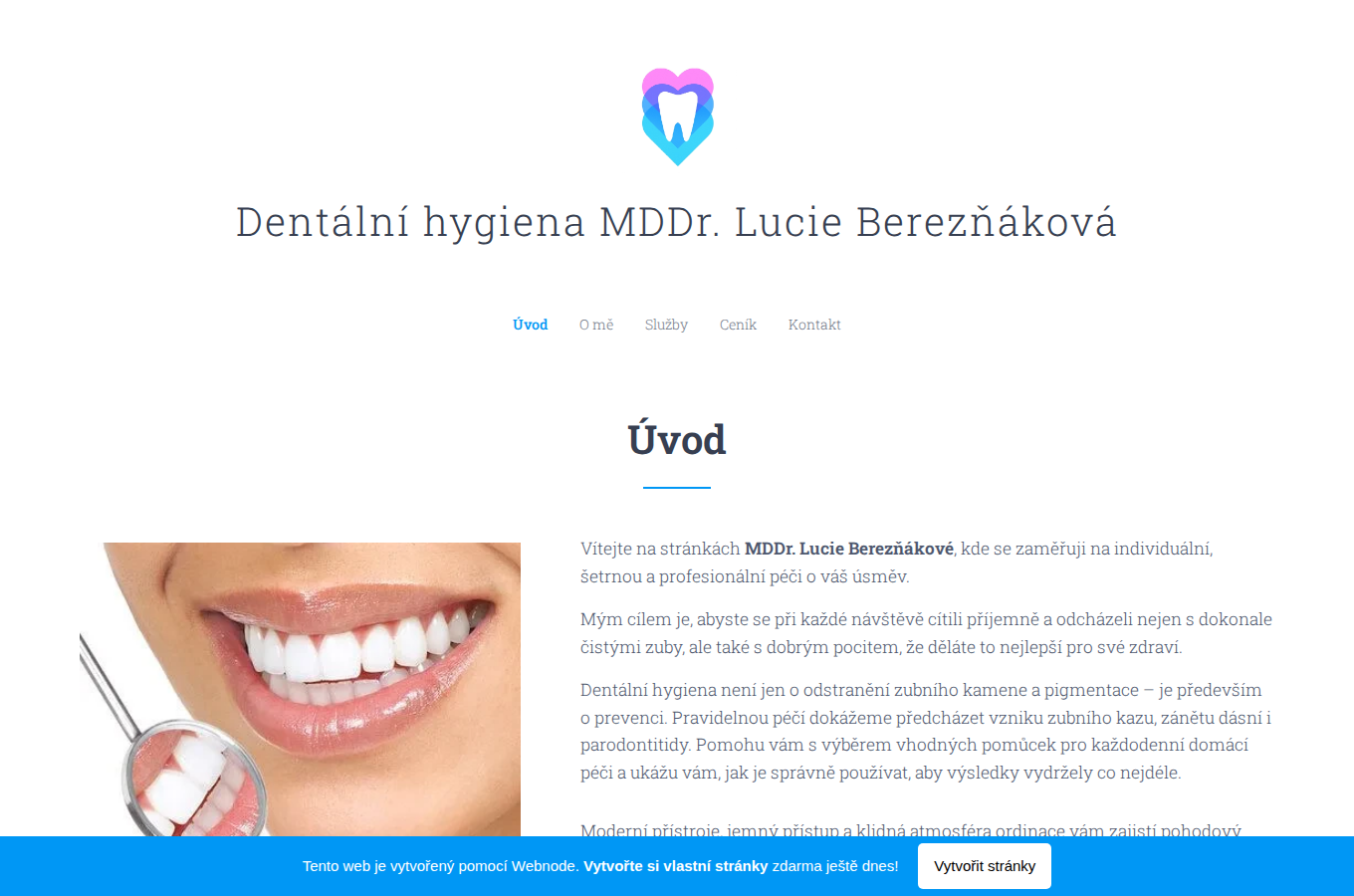 Současný web Dentální hygiena Lucie Berezňáková na počítači