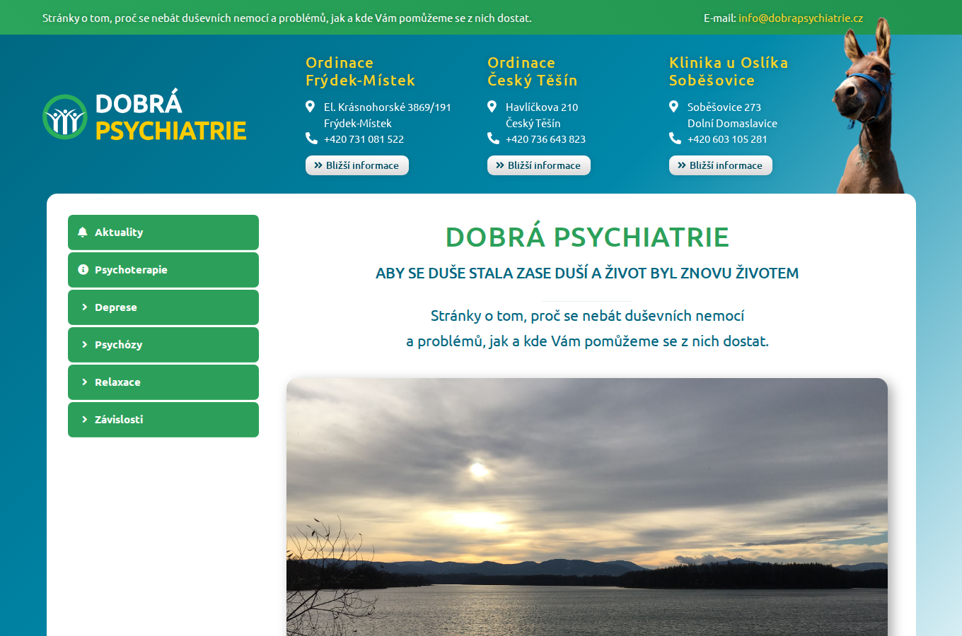 Současný web Dobrá psychiatrie na počítači