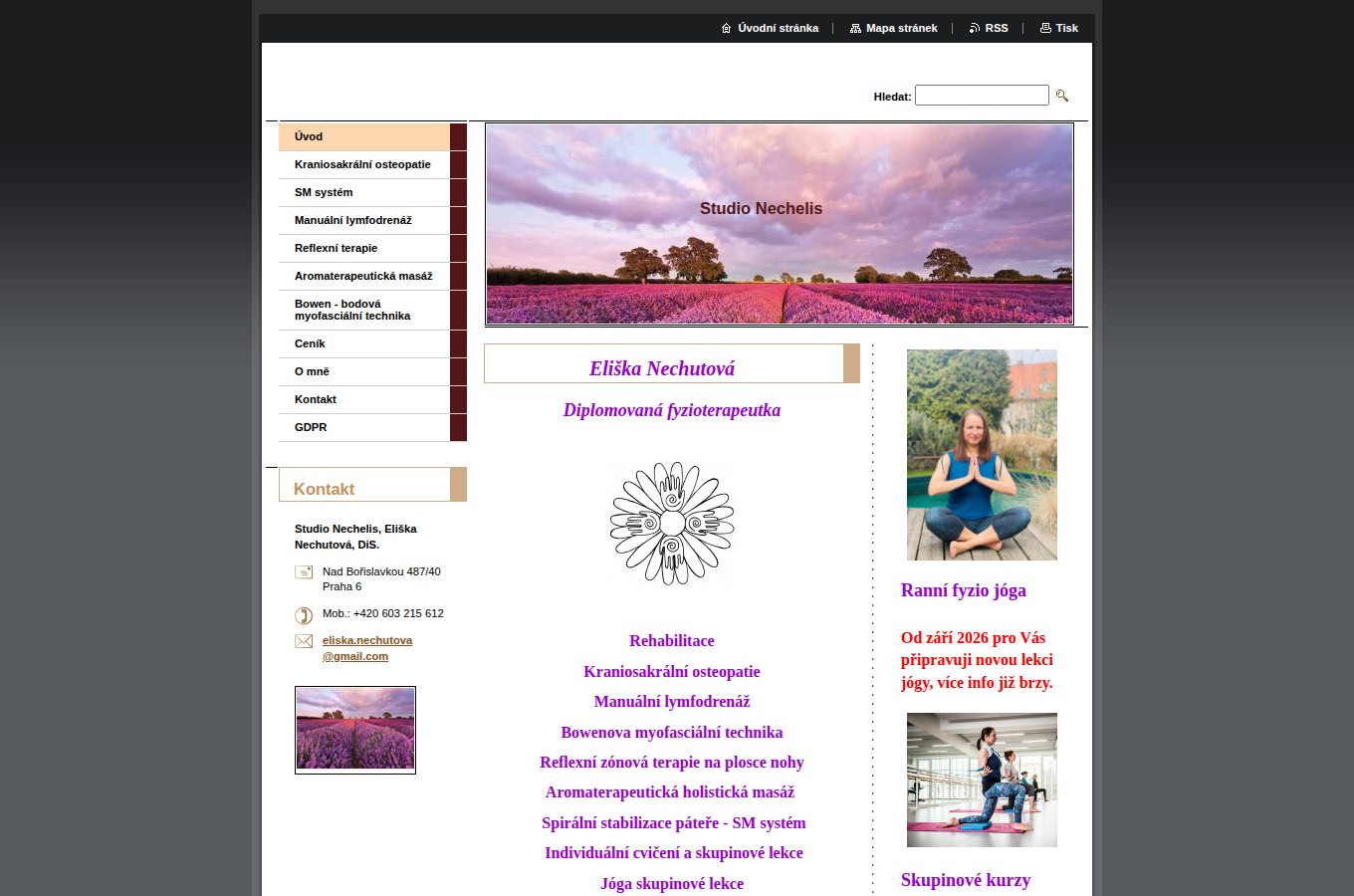 Současný web Eliška Nechutová Fyzioterapeutka na počítači