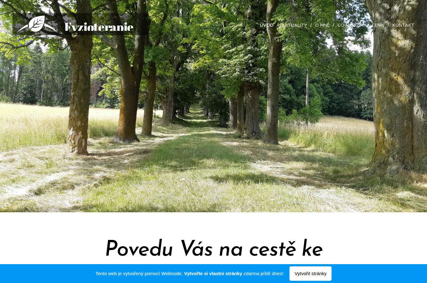 Současný web Fyzio Ája na počítači