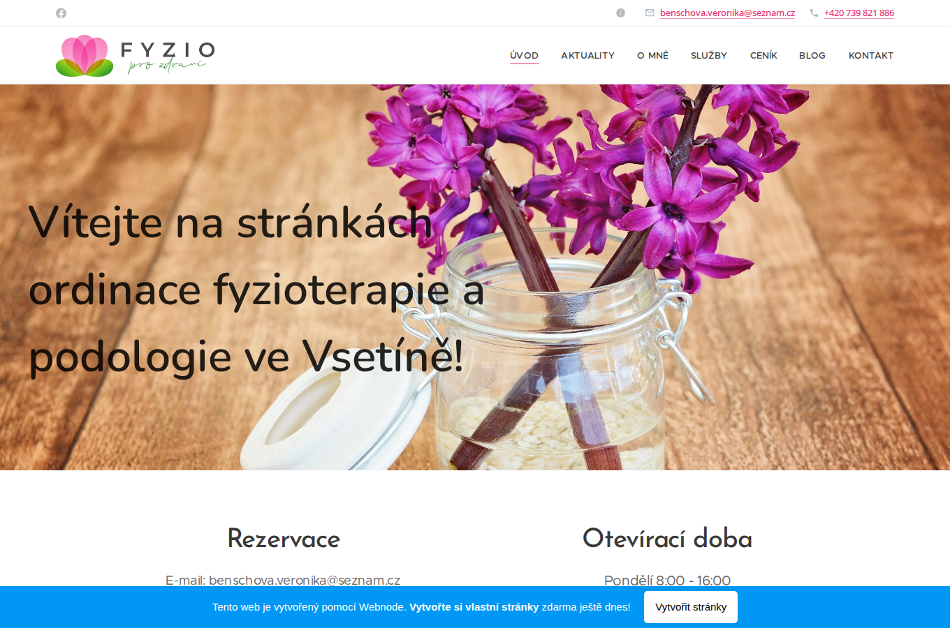 Současný web Fyzio pro zdraví na počítači