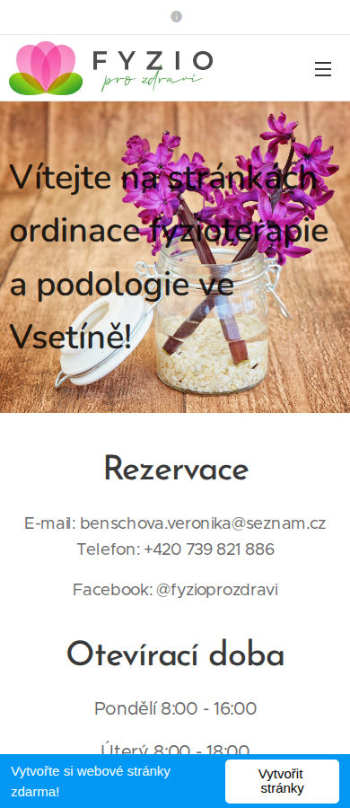 Současný web Fyzio pro zdraví na mobilu