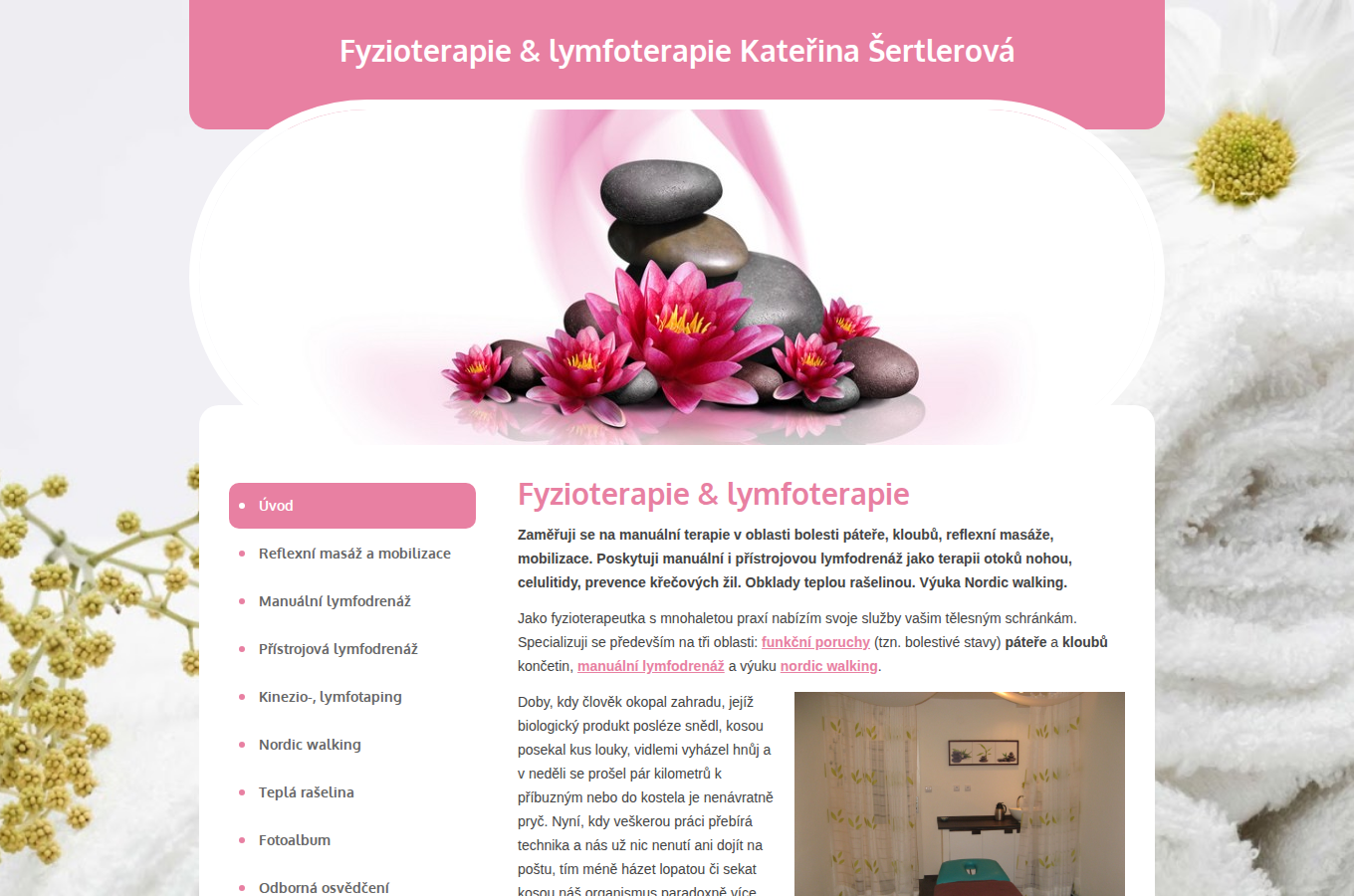 Současný web Fyzioterapie a lymfoterapie Kateřina Šertlerová na počítači
