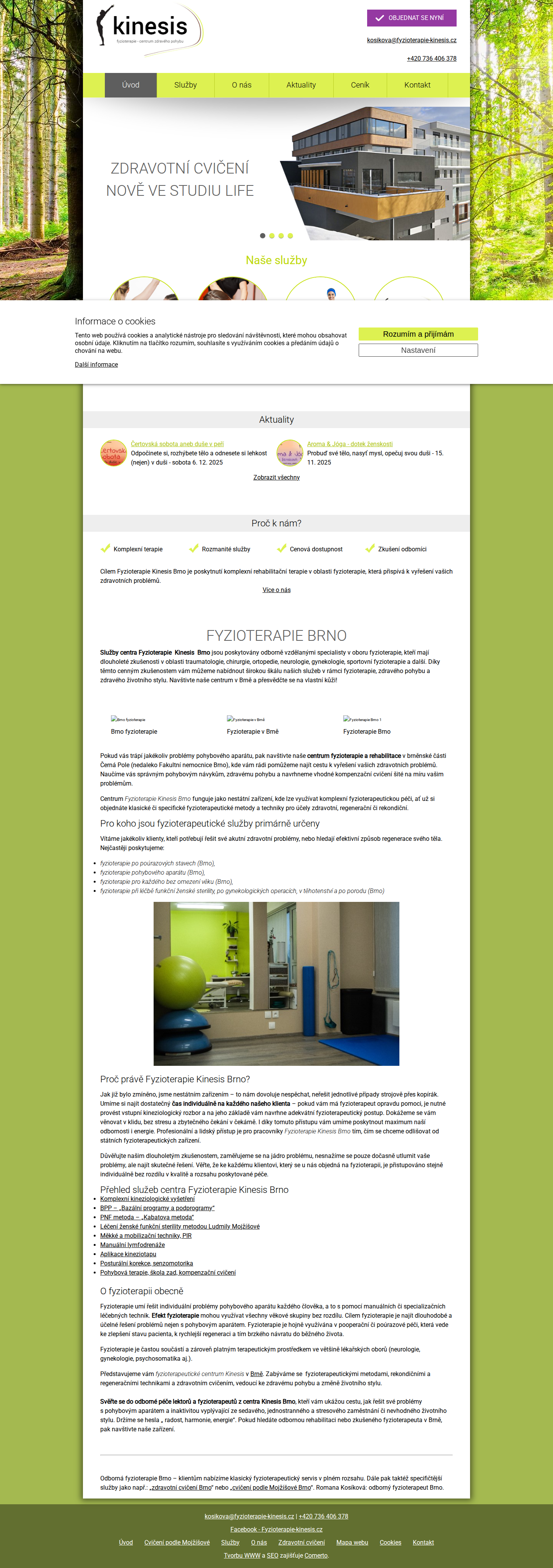 Současný web Fyzioterapie Kinesis Brno – Bc. Romana Kosíková na počítači