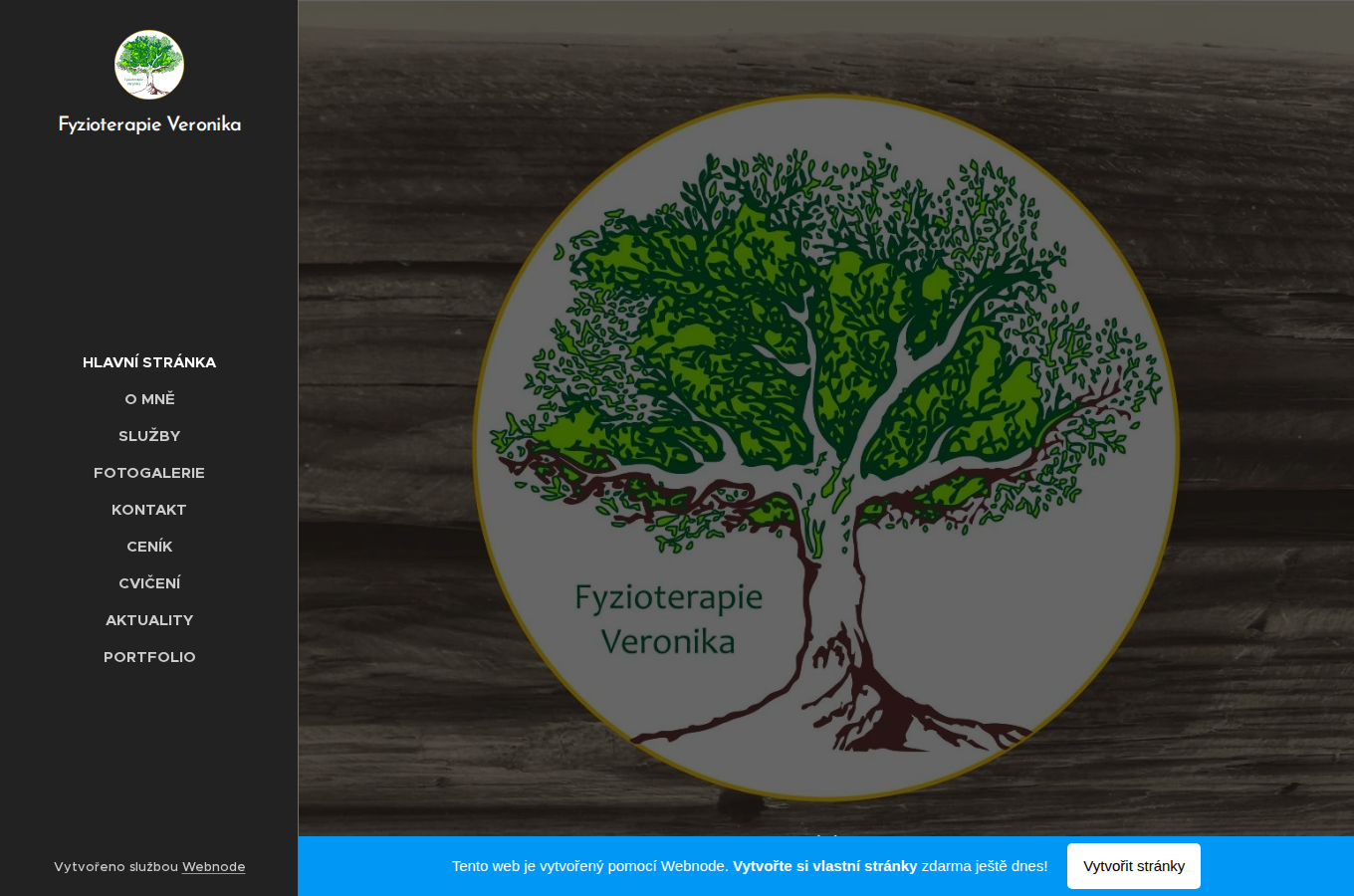 Současný web Fyzioterapie Veronika Šedivá na počítači