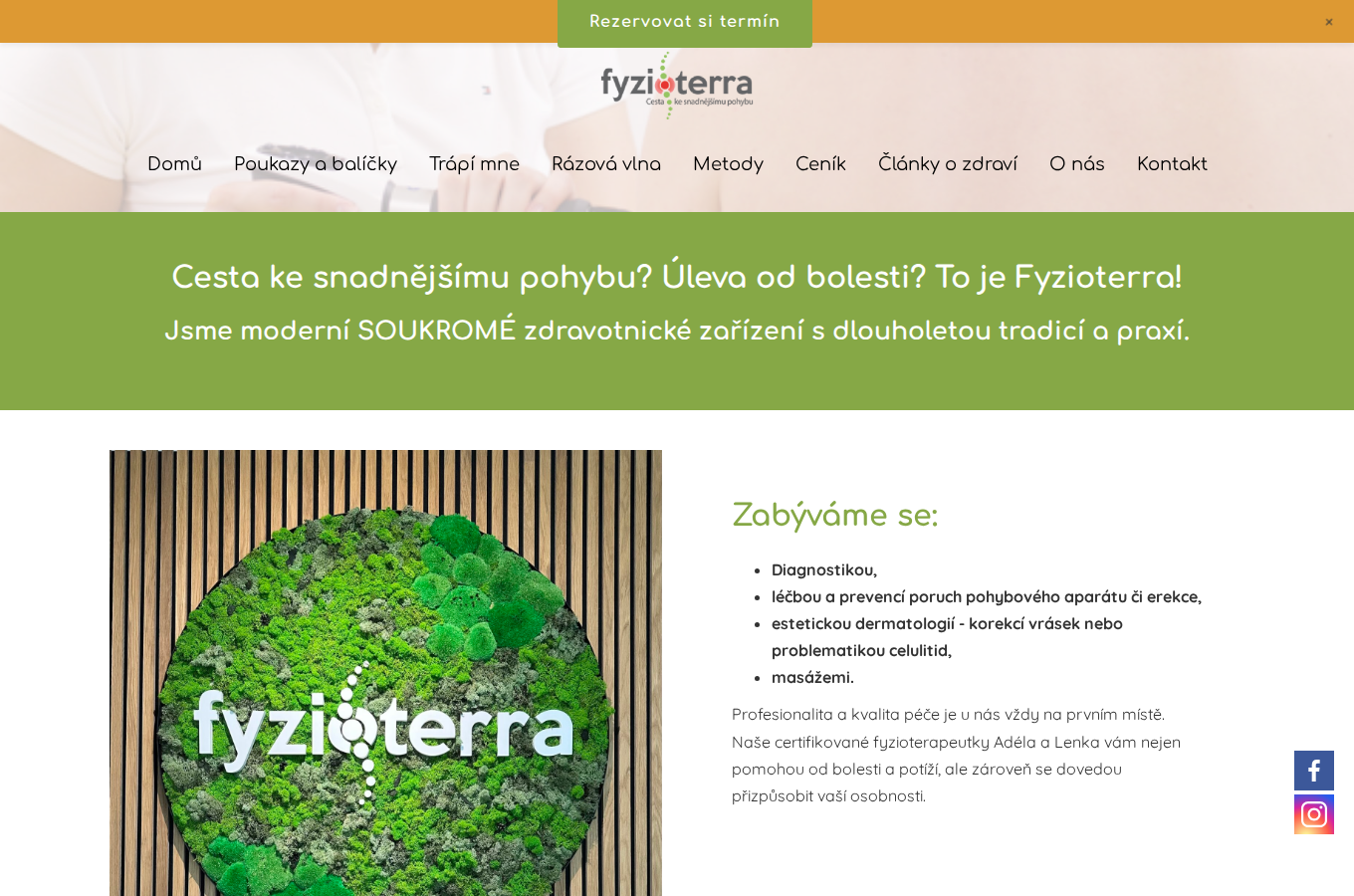 Současný web Fyzioterra na počítači