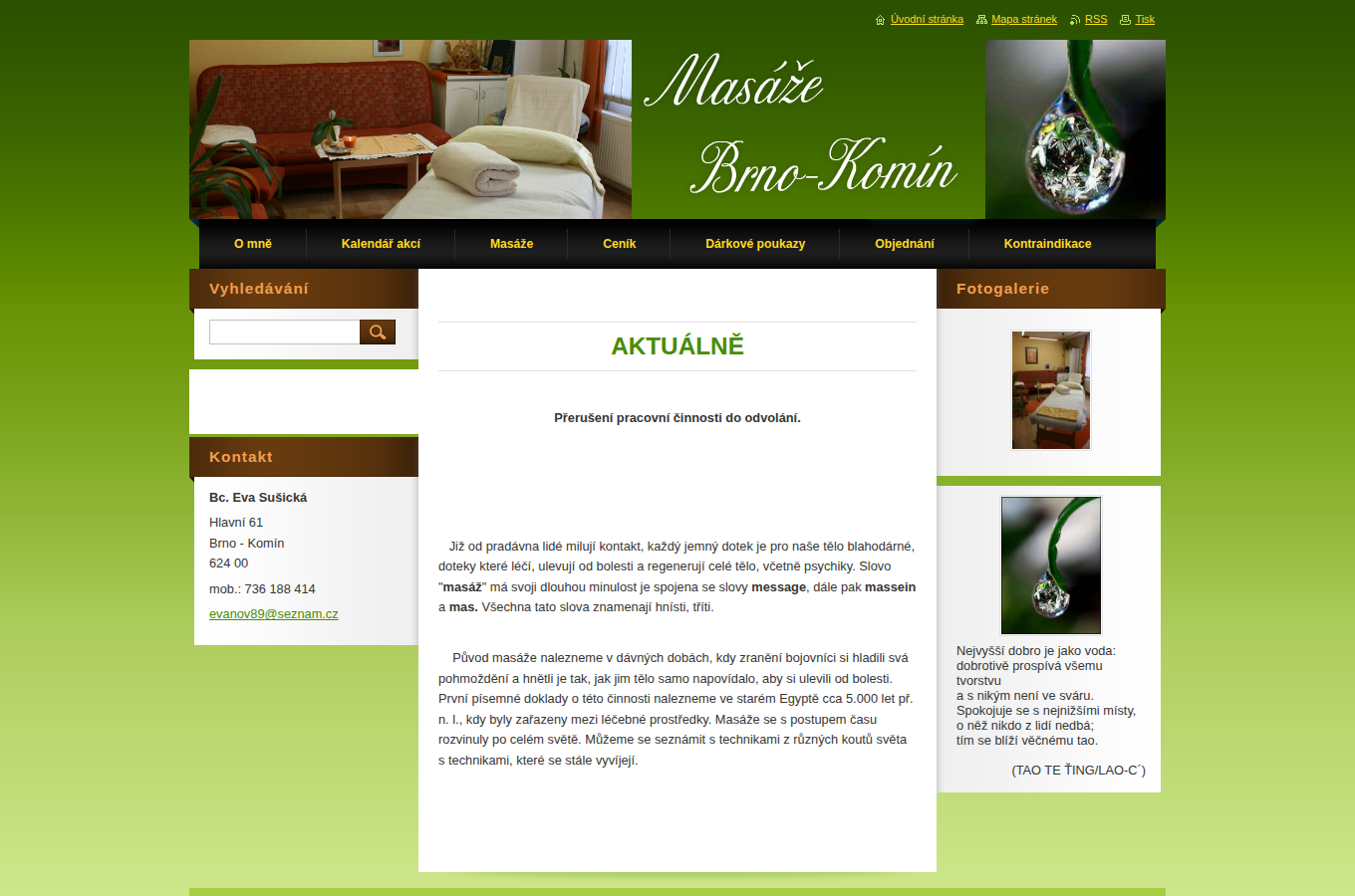 Současný web Masáže Brno Eva Sušická na počítači