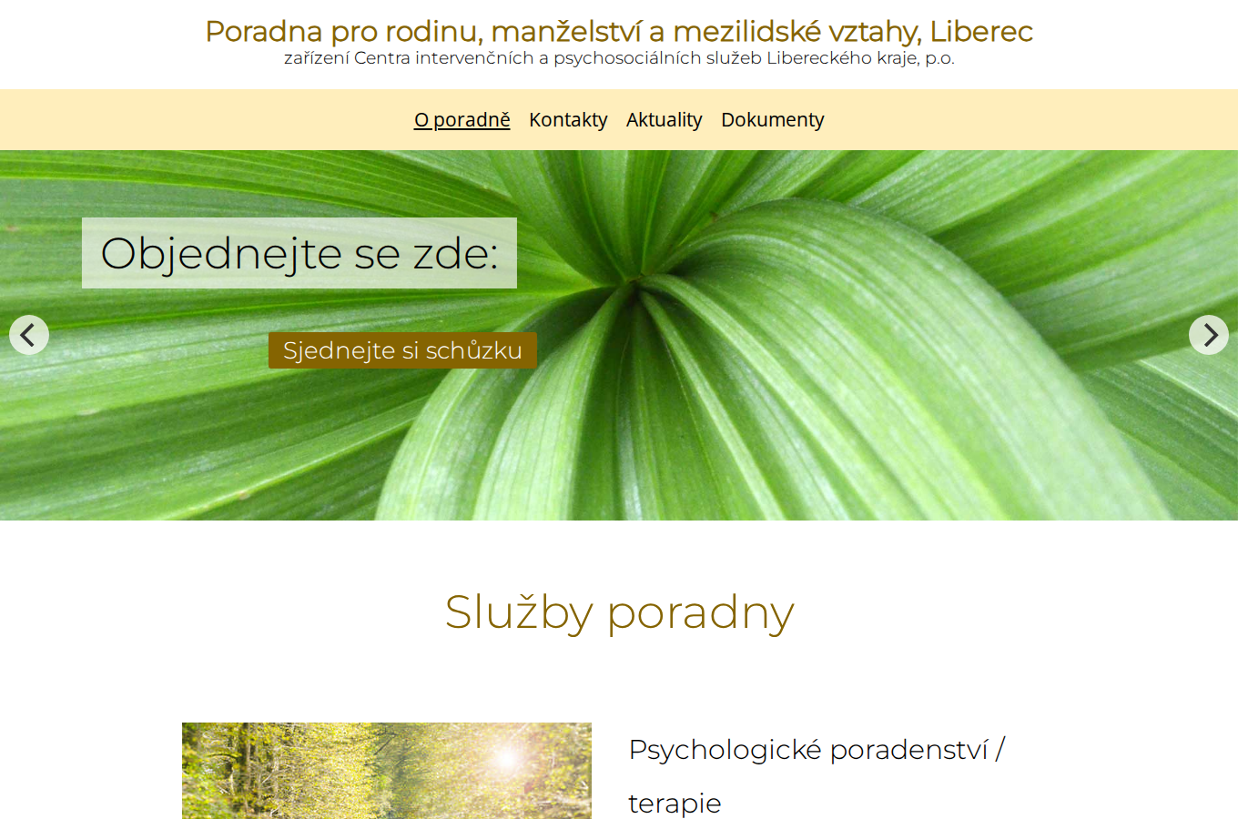 Současný web Poradna pro rodinu, manželství a mezilidské vztahy Liberec na počítači