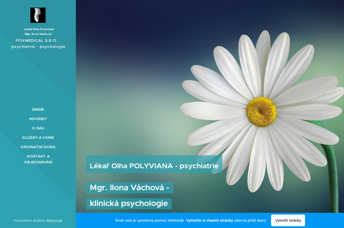 Současný web Psychiatrie a psychologie KVary na počítači