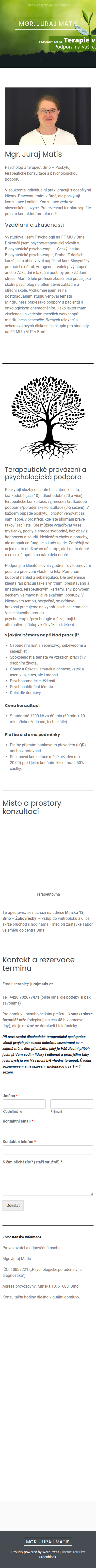 Současný web Psycholog a terapeut Brno - Mgr. Juraj Matis na mobilu