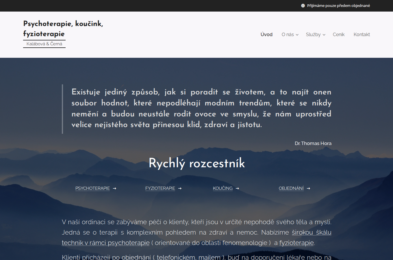 Současný web Psychoterapie a fyzioterapie Liberec na počítači