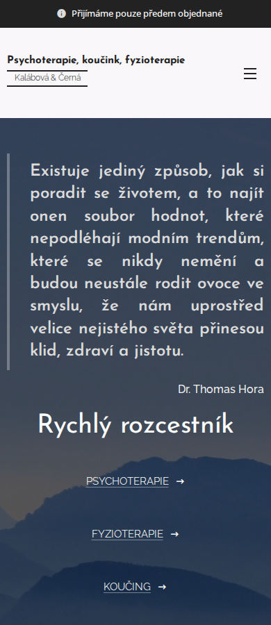 Současný web Psychoterapie a fyzioterapie Liberec na mobilu