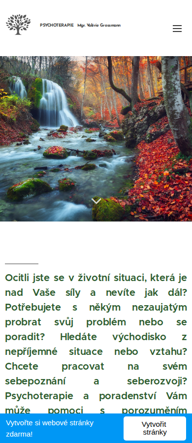 Současný web Psychoterapie FM na mobilu