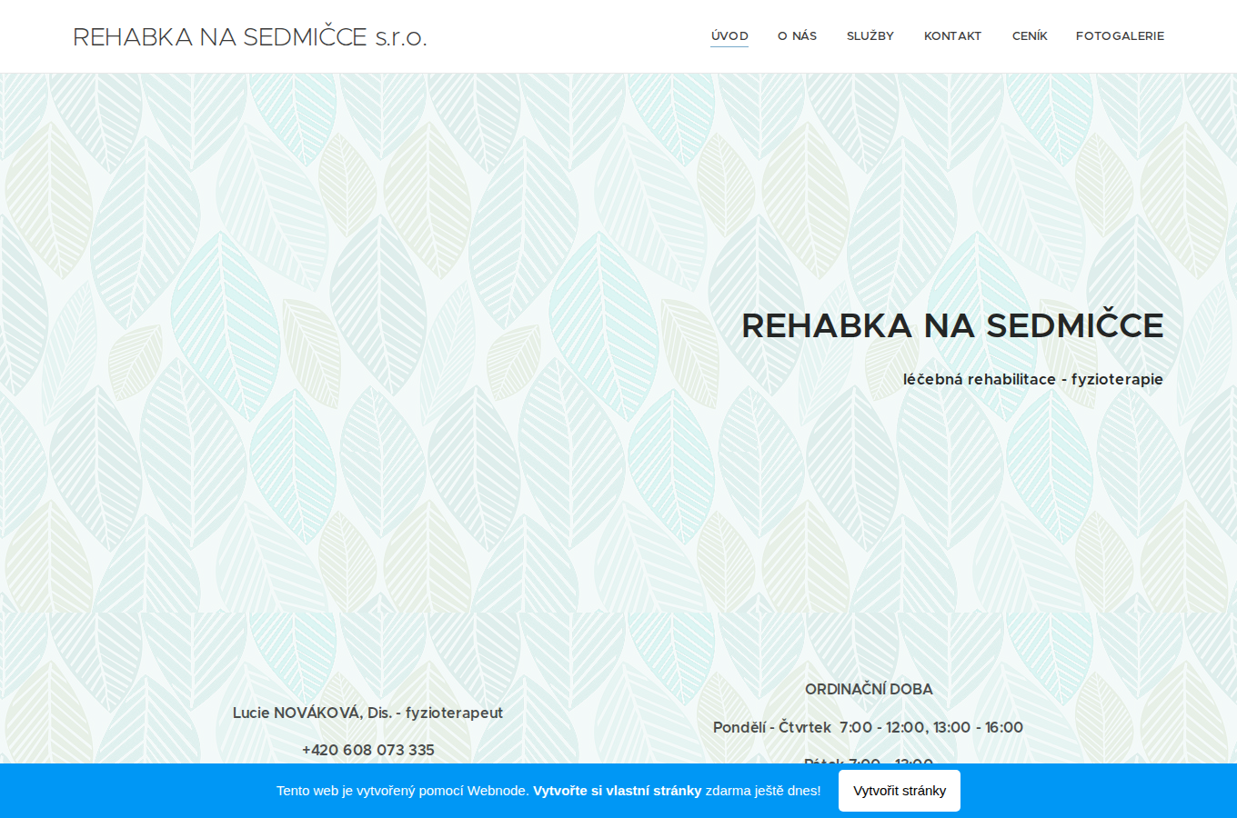 Současný web Rehabilitace Na Sedmičce na počítači