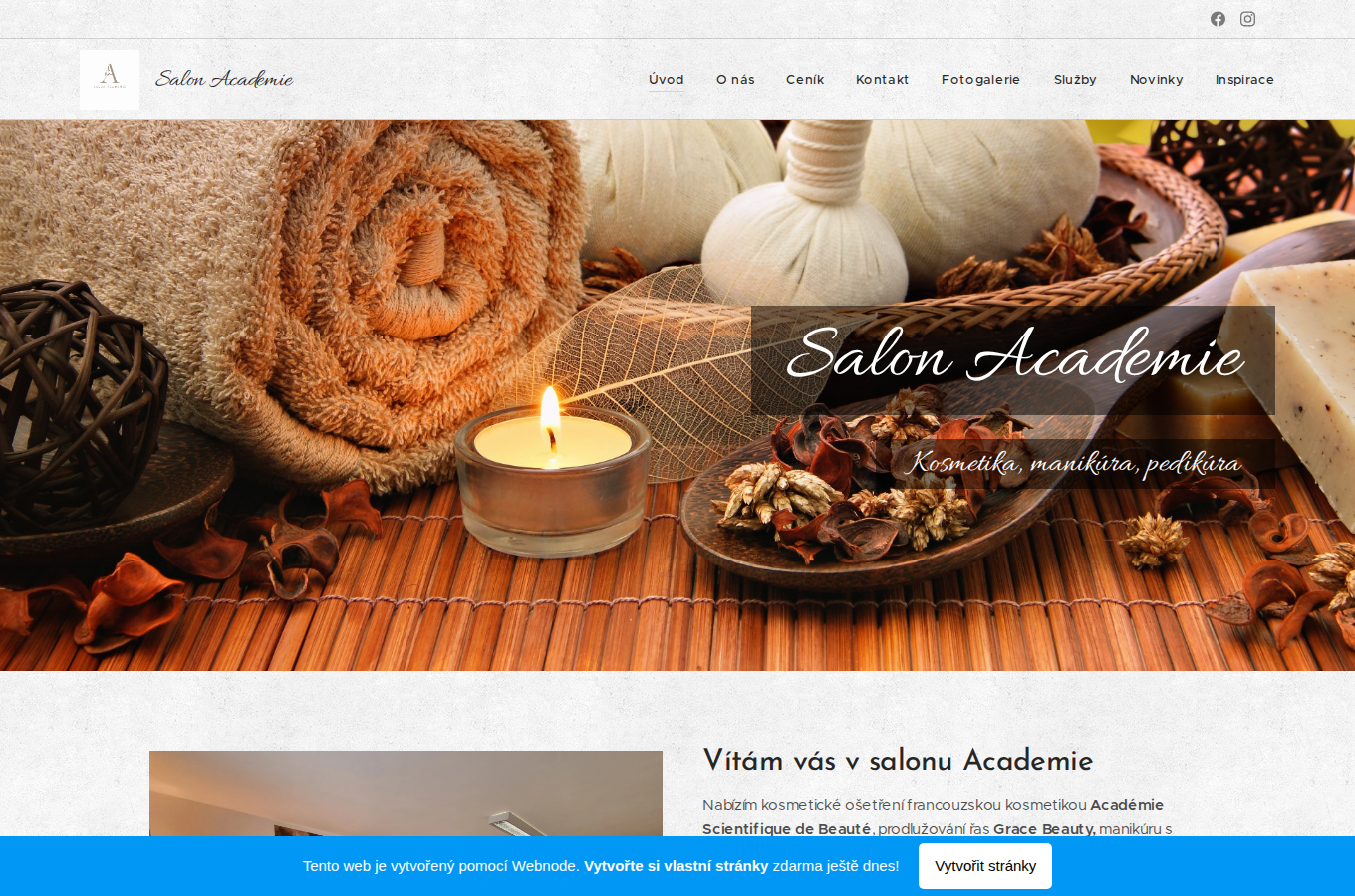 Současný web Salon Academie na počítači