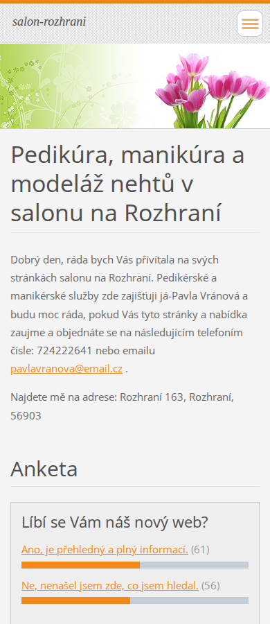 Současný web Salon na Rozhraní na mobilu