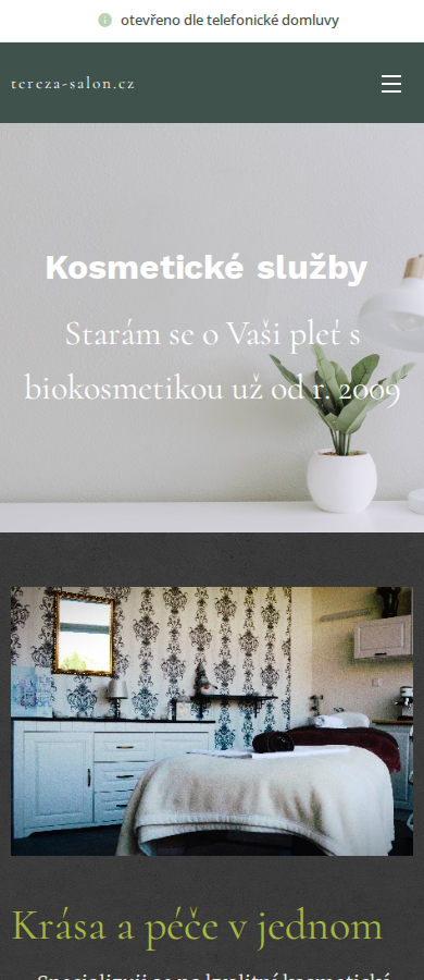 Současný web Salon Tereza na mobilu