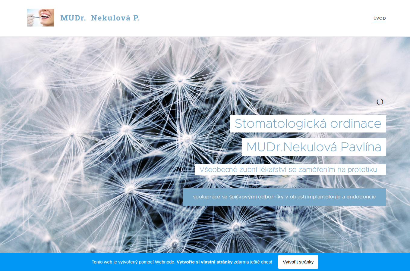Současný web Stomatologická ordinace MUDr. Pavlína Nekulová na počítači