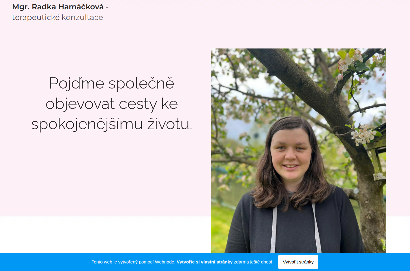Současný web Terapie Radka Hamáčková na počítači