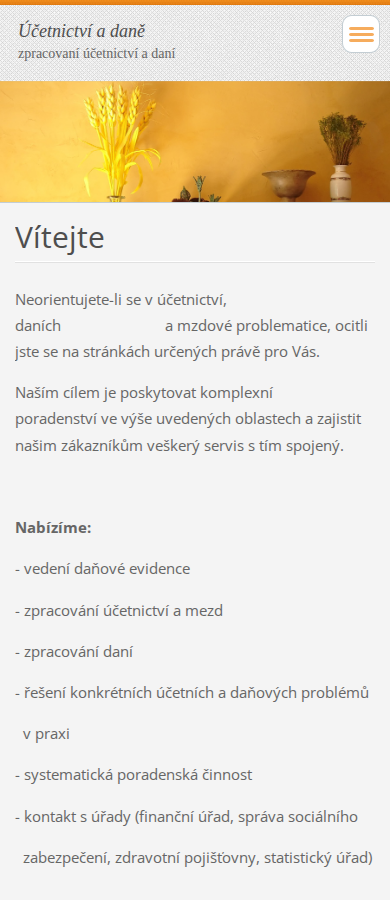 Současný web Účetní poradenství Blanka Drápalová na mobilu