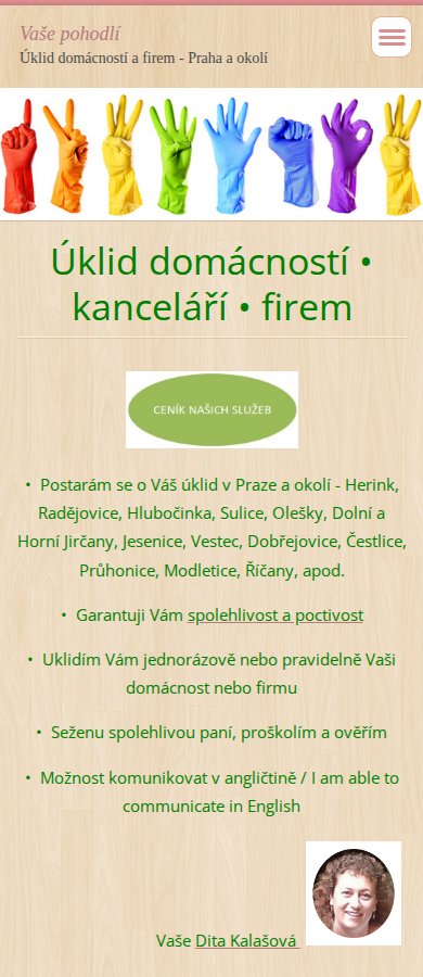 Současný web Vaše pohodlí úklid na mobilu